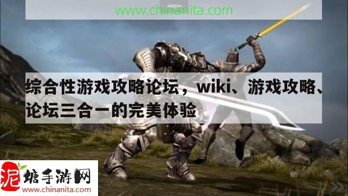 综合性游戏攻略论坛，wiki、游戏攻略、论坛三合一的完美体验