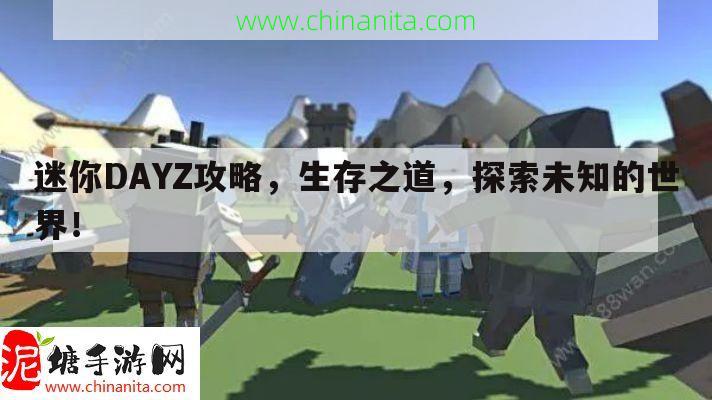 迷你DAYZ攻略，生存之道，探索未知的世界！