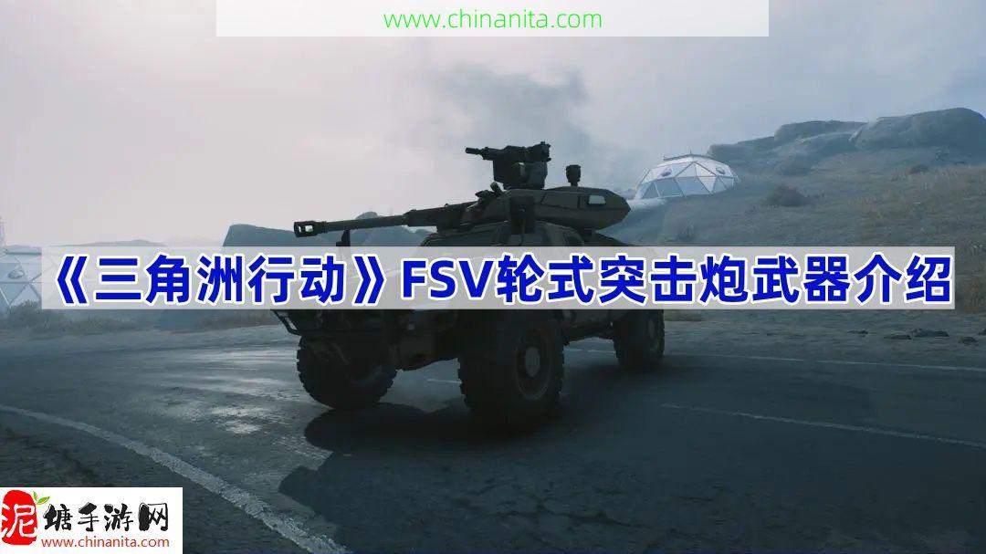 三角洲行动轮式突击炮武器有什么,FSV轮式突击炮武器介绍