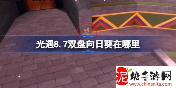 光遇8.7双盘向日葵在哪里-光遇8月7日有友节代币收集攻略