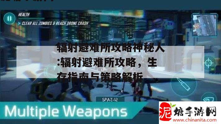 辐射避难所攻略神秘人:辐射避难所攻略，生存指南与策略解析