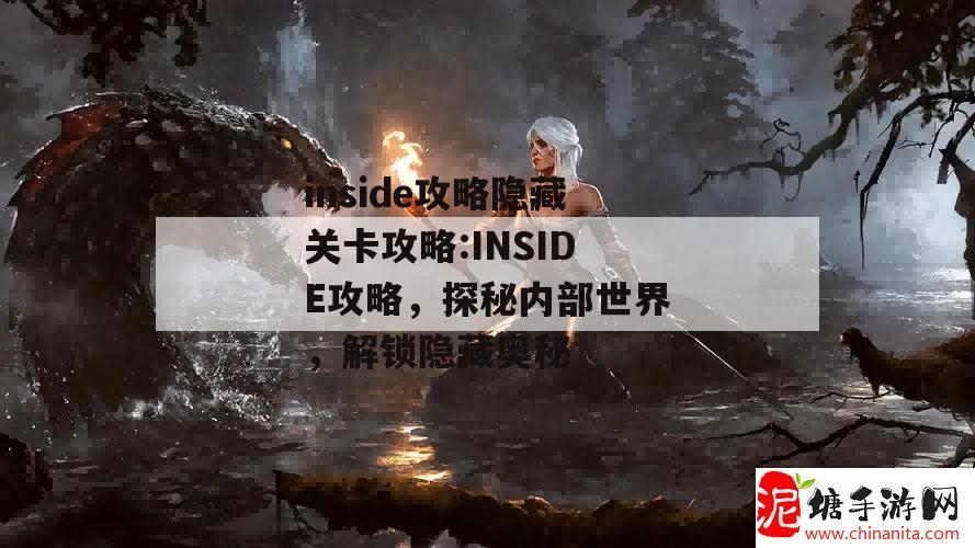 inside攻略隐藏关卡攻略:INSIDE攻略，探秘内部世界，解锁隐藏奥秘