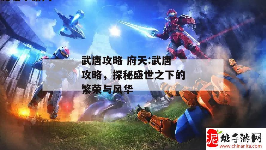 武唐攻略 府天:武唐攻略，探秘盛世之下的繁荣与风华