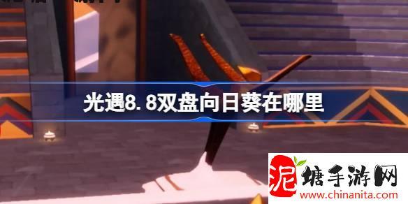 光遇8.8双盘向日葵在哪里-光遇8月8日有友节代币收集攻略