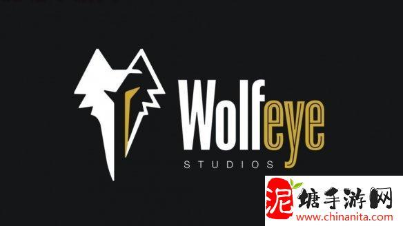 粉丝狂喜！WolfEye Studios新作将会是第一人称RPG！