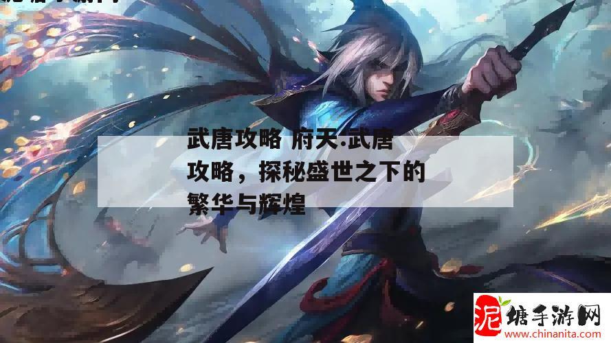 武唐攻略 府天:武唐攻略，探秘盛世之下的繁华与辉煌